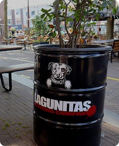 Barrel Planters
